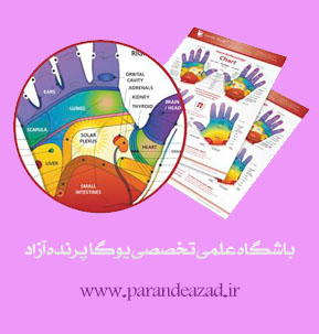 ,yoga,یوگا,یوگا کرج,یوگا استان البرز,کلاس یوگا,مرکز تخصصی یوگا,باشگاه نمونه یوگا,رفلکسولوژی,بازتاب درمانی,بازتاب شناسی,درمانهای شفابخض,طب کل نگر,درمانهای نامتعارف,باشگاه تخصصی یوگا پرنده آزاد کرج, ,yoga,یوگا,یوگا کرج,یوگا استان البرز,کلاس یوگا,مرکز تخصصی یوگا,باشگاه نمونه یوگا,رفلکسولوژی,بازتاب درمانی,بازتاب شناسی,درمانهای شفابخض,طب کل نگر,درمانهای نامتعارف,باشگاه تخصصی یوگا پرنده آزاد کرج,